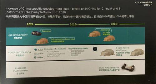 国产a级一级久久毛片,揭秘一级久久毛片背后的故事  第3张