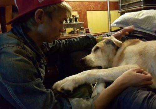 国产人与狗,探寻人类与动物和谐共生的奥秘  第2张