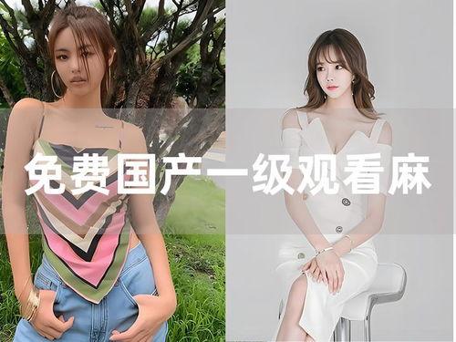 免费国产一级,免费观看的顶级视听盛宴  第3张