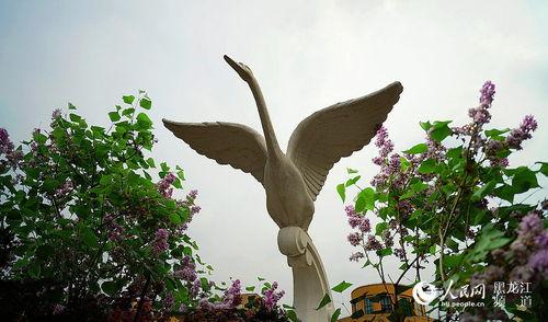 丁香五月国产  第3张