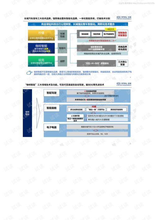 国产16页,揭秘我国创新科技发展的新篇章  第2张